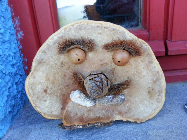 Basteln mit Pilzen
