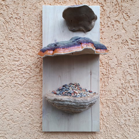 Basteln mit Pilzen