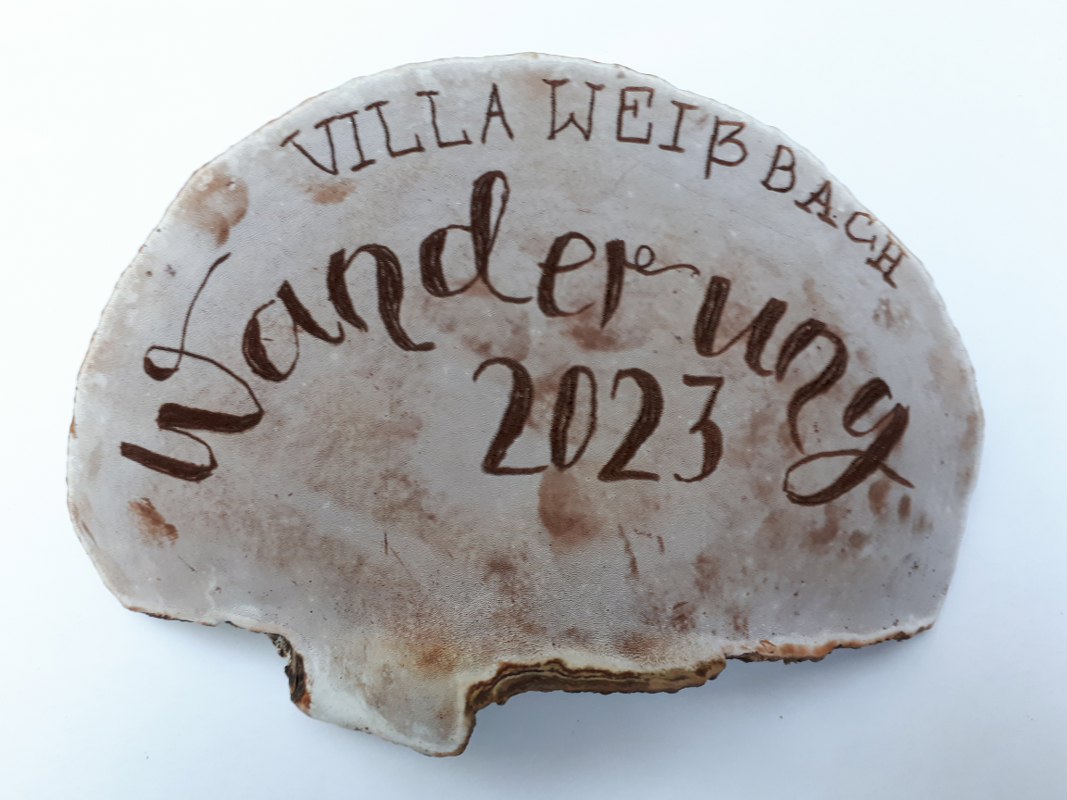Malen auf Pilzen
